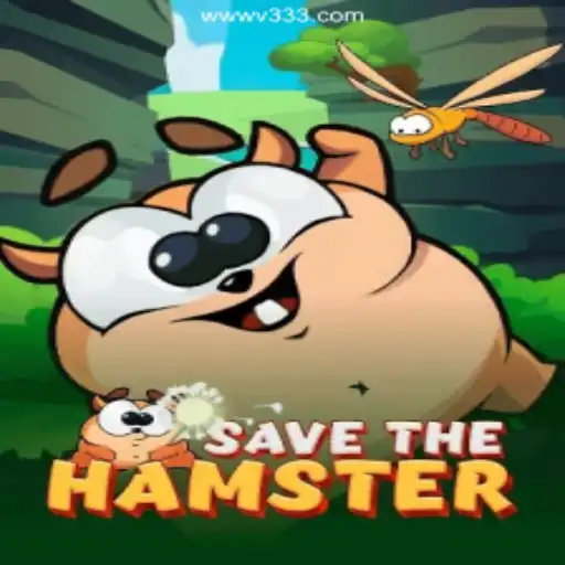SavetheHamster: An Adventurous Journey into Brazilian Online Entertainment